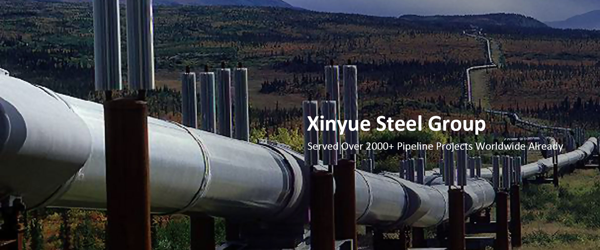 Served Over 2000+ Pipeline Projects Worldwide Already